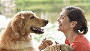 L'éducation positive du chien : principes et méthodes pour réussir