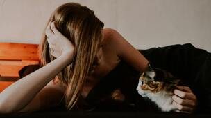 Mon chat fait de l’hyper attachement : Quelles conséquences pour son bien-être ?