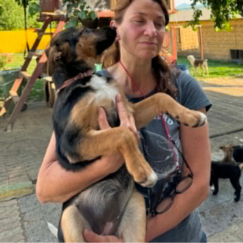 Adoption ZODIA