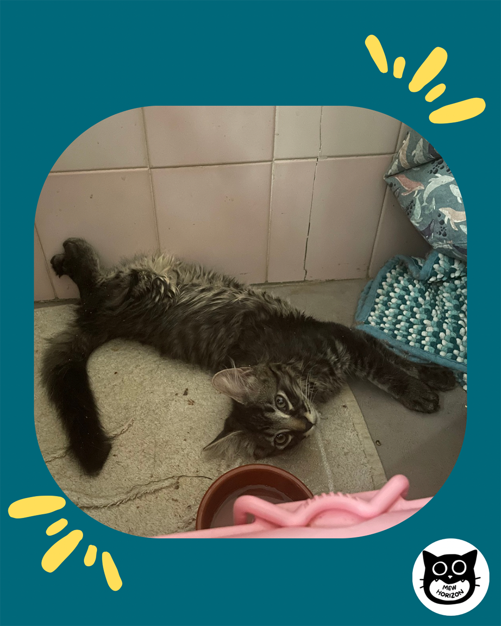 Adopter Daruk
