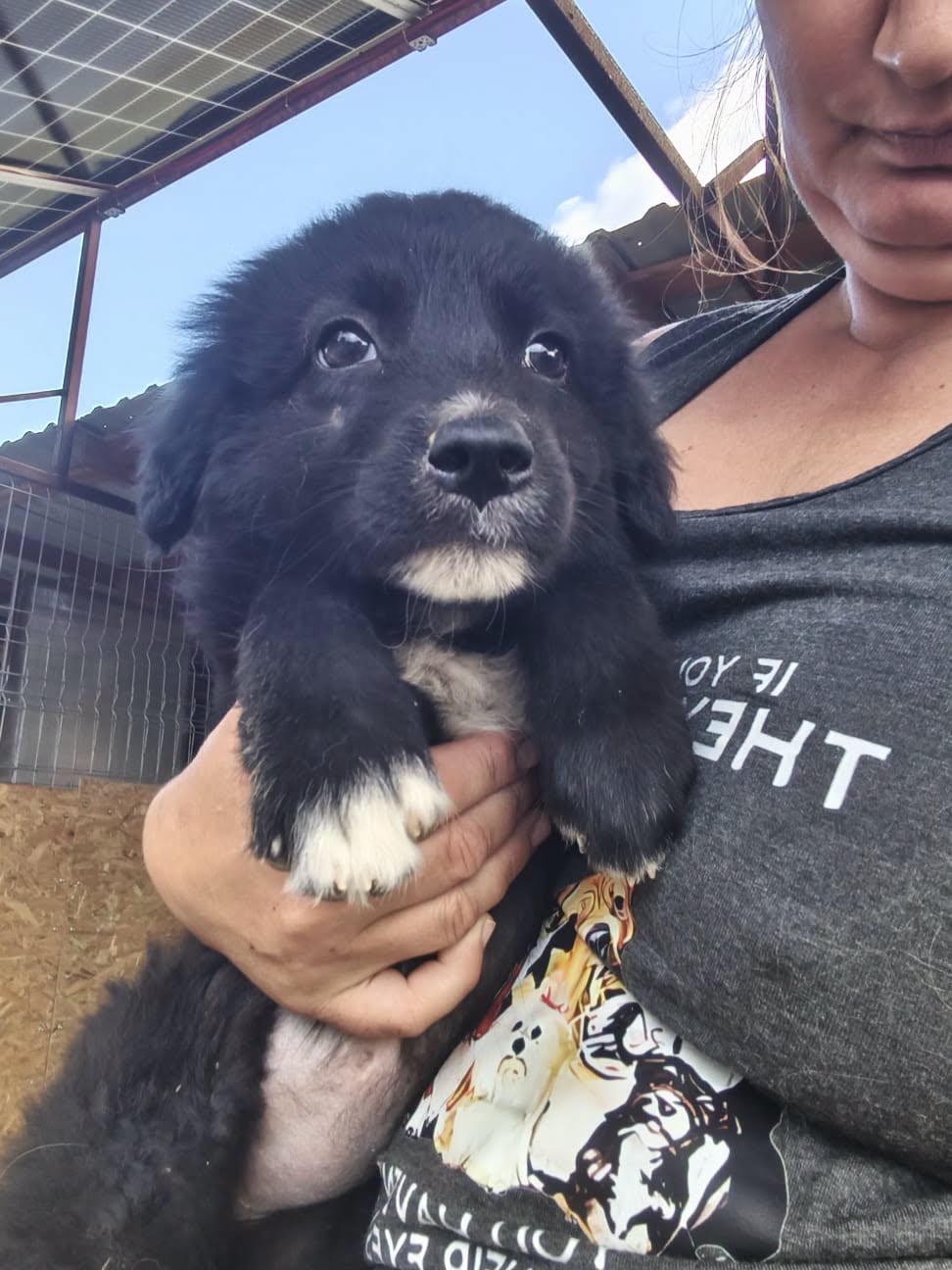 Adopter SONIA