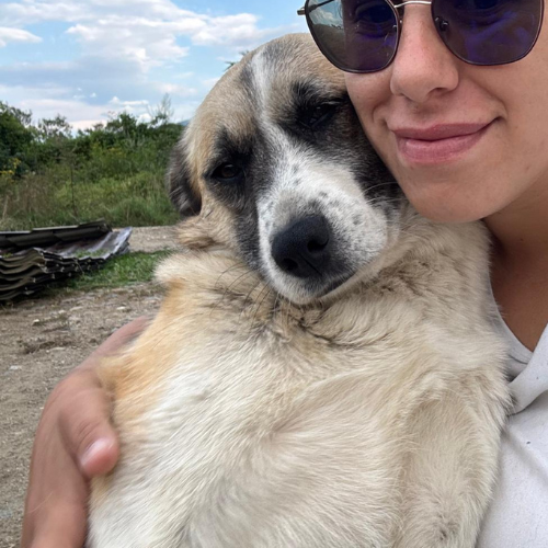 Adoption BULLA