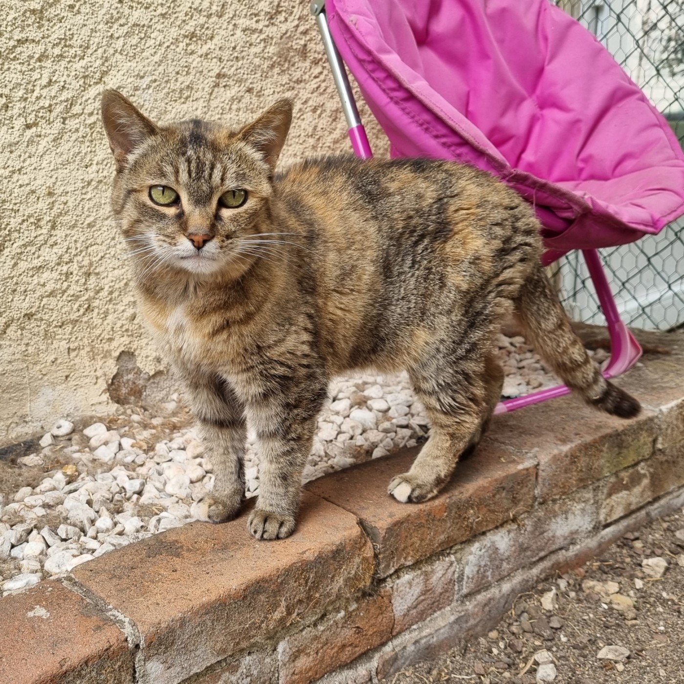 Adopter BILYTIS