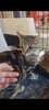 Catimini