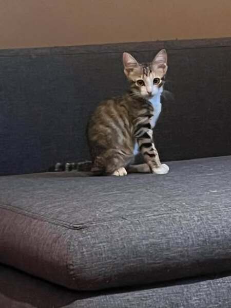Adopter Thelma