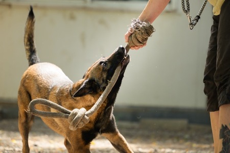 Adopter SALLY