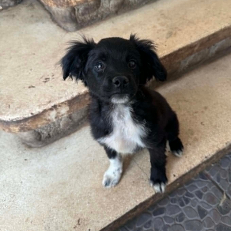 Adopter LOTTO