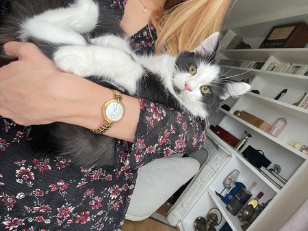 Adopter Berlioz