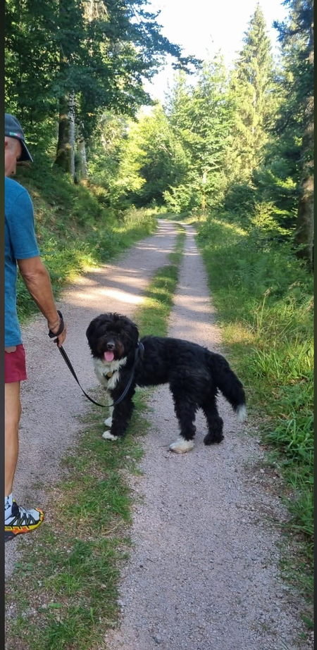 Adopter CHARLY