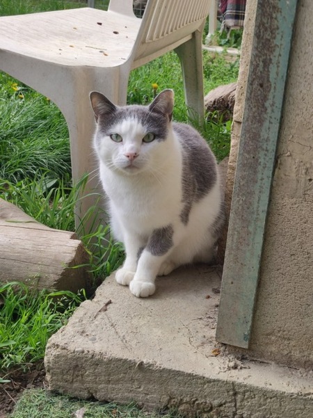 Adopter Nuage
