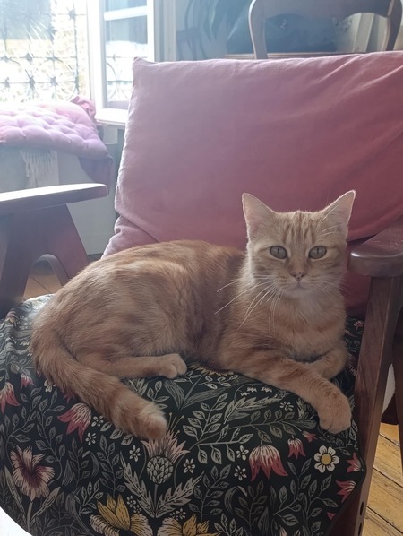 Adopter Olga