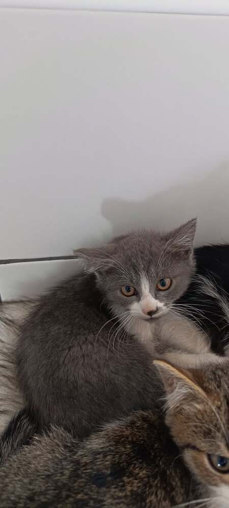 Adopter Nuage