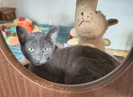 Adopter Val