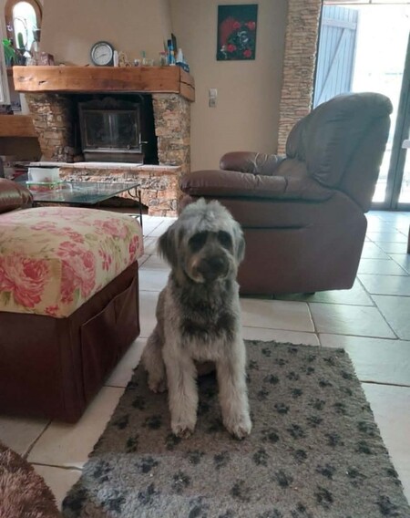 Adopter Brume