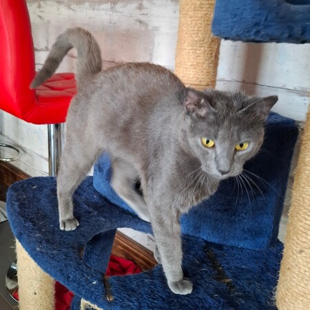 Adopter BUTANE
