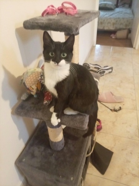 Adopter Becky
