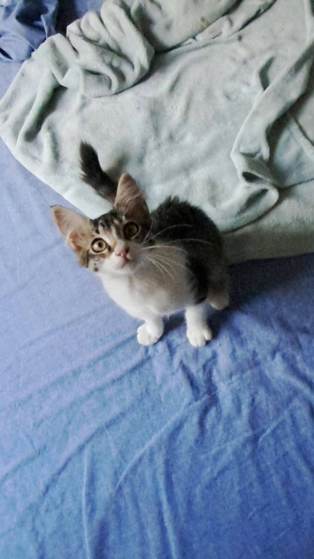 Adopter Bianca