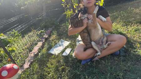 Adopter Saxo