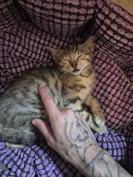 Adopter Jane