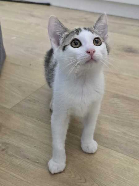 Adopter Winnie