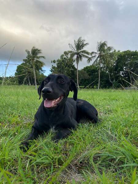 Adopter Naomie