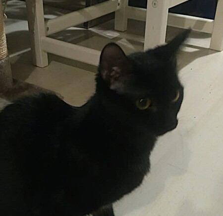 Adopter Becky