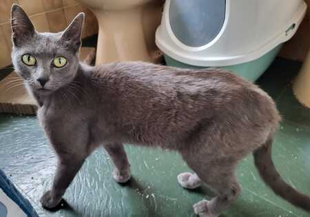 Adopter OMBRE
