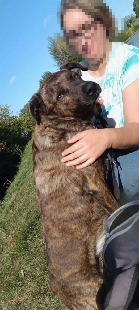 Adopter Tex