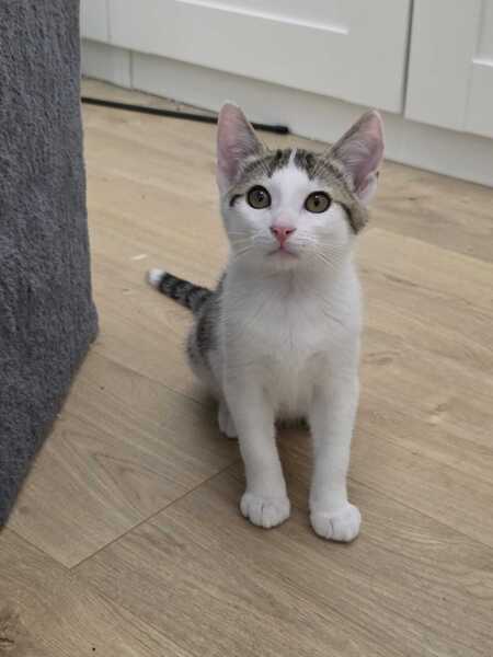 Adopter Winnie