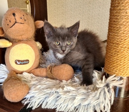 Adopter Maryse