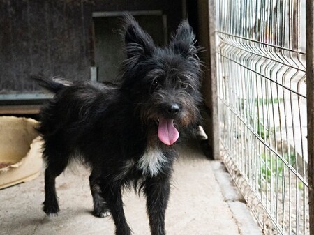 Adopter Rita