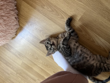 Adopter Meï et Lian