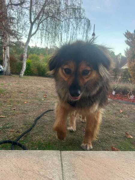 Adopter Carla