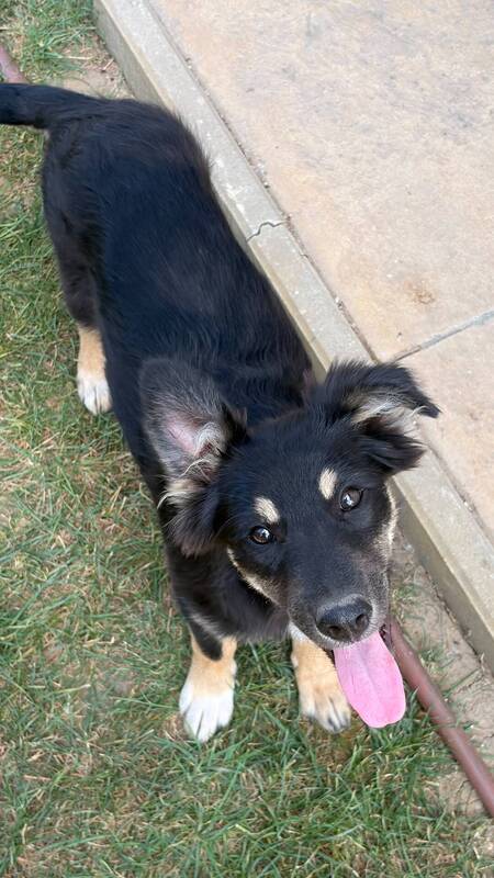 Adopter Lilly