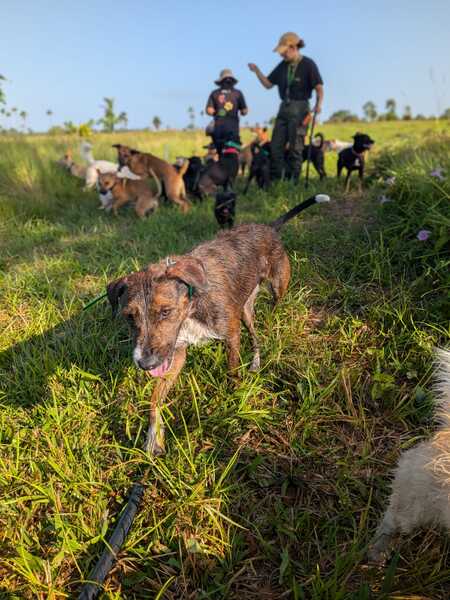 Adopter Mahé