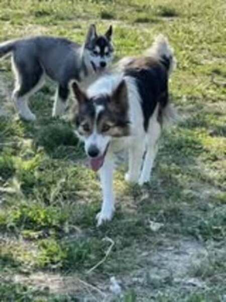 Adopter Tiya