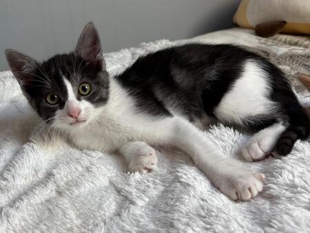 Adopter Beton et Bataille