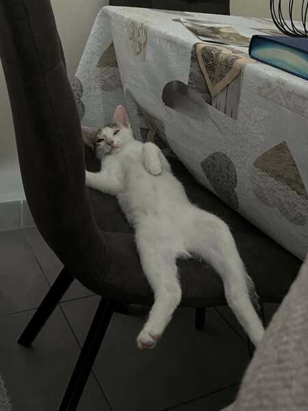 Adopter Bianca