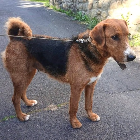 Adopter THULITA
