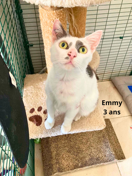 Adopter Emmy