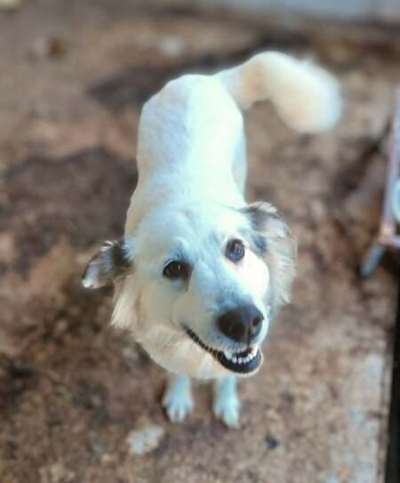 Adopter Nube