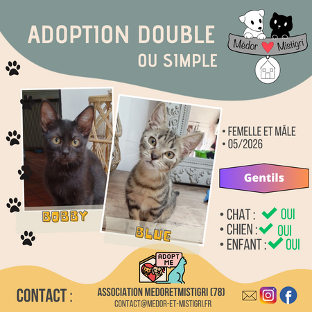 Adopter BLUE et BOBBY
