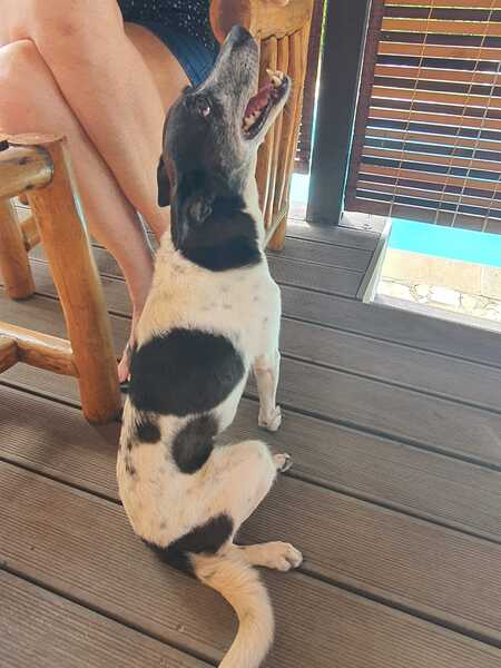 Adopter Paraffine