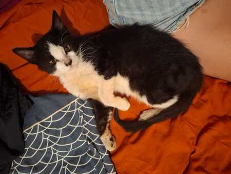 Adopter Jacqueline