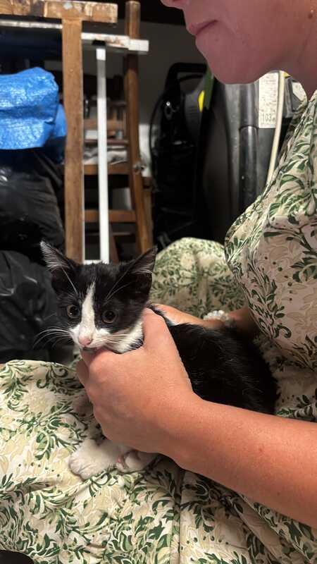 Adopter Blake