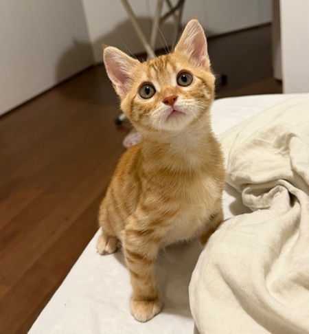 Adopter Léo