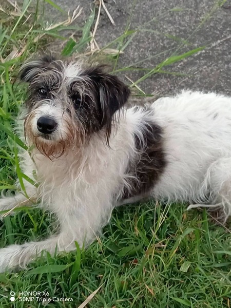 Adopter Suzette 