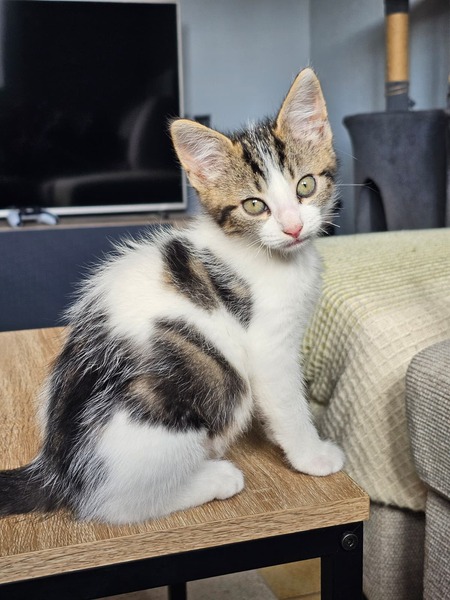 Adopter Bianca