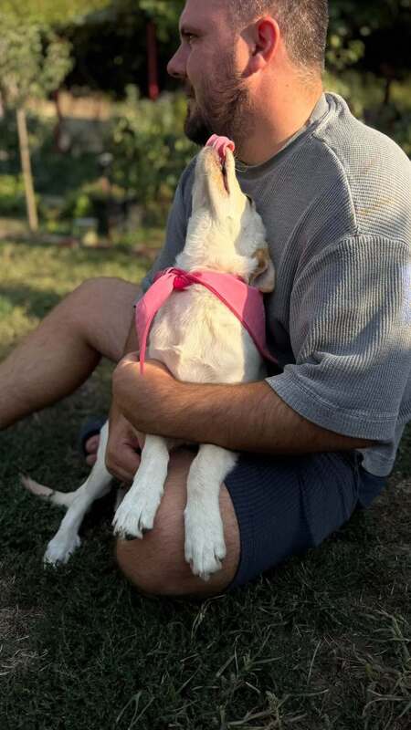 Adopter Isidore