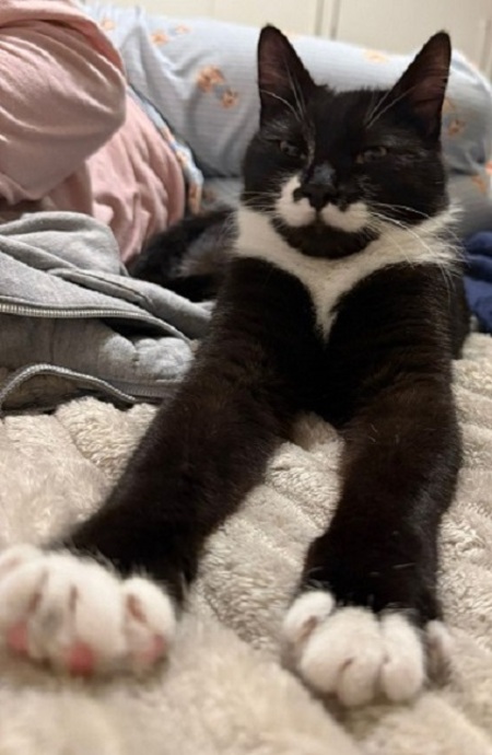 Adopter Pepper